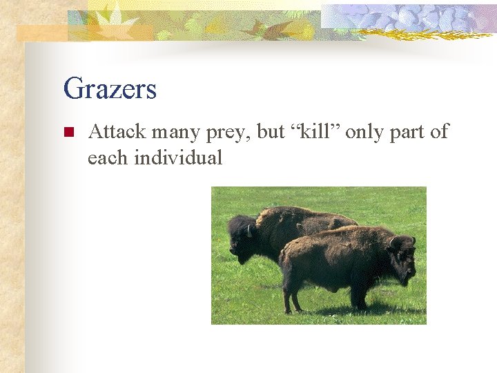 Grazers n Attack many prey, but “kill” only part of each individual 