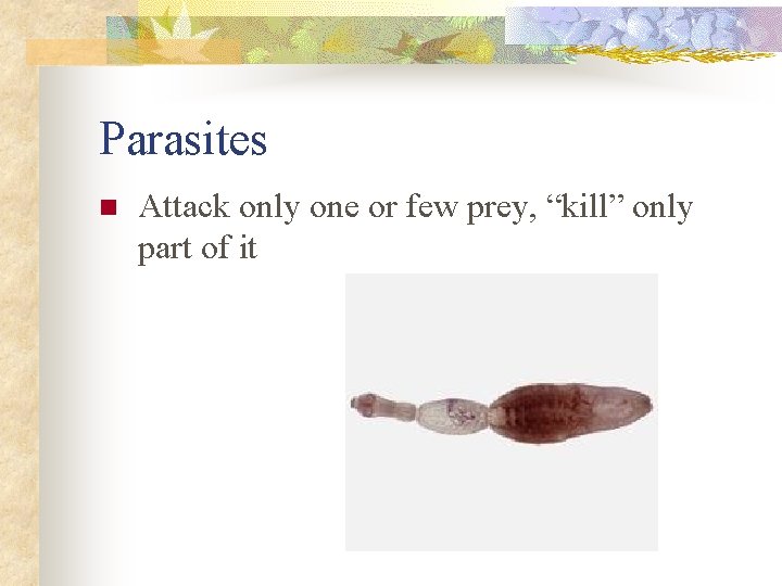 Parasites n Attack only one or few prey, “kill” only part of it 