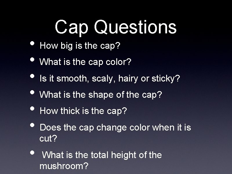 Cap Questions • How big is the cap? • What is the cap color?
