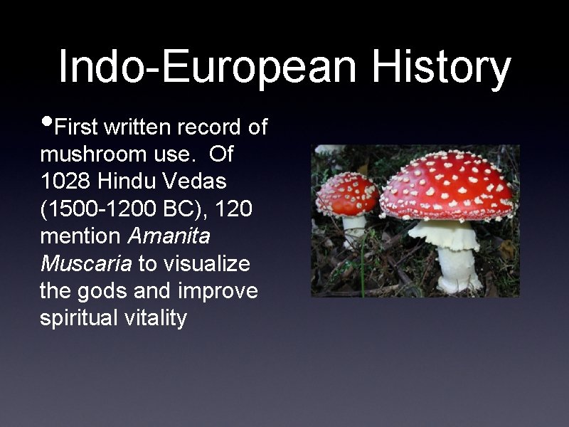 Indo-European History • First written record of mushroom use. Of 1028 Hindu Vedas (1500