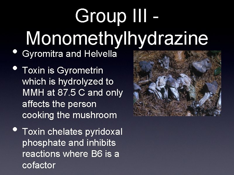 Group III Monomethylhydrazine • Gyromitra and Helvella • Toxin is Gyrometrin which is hydrolyzed
