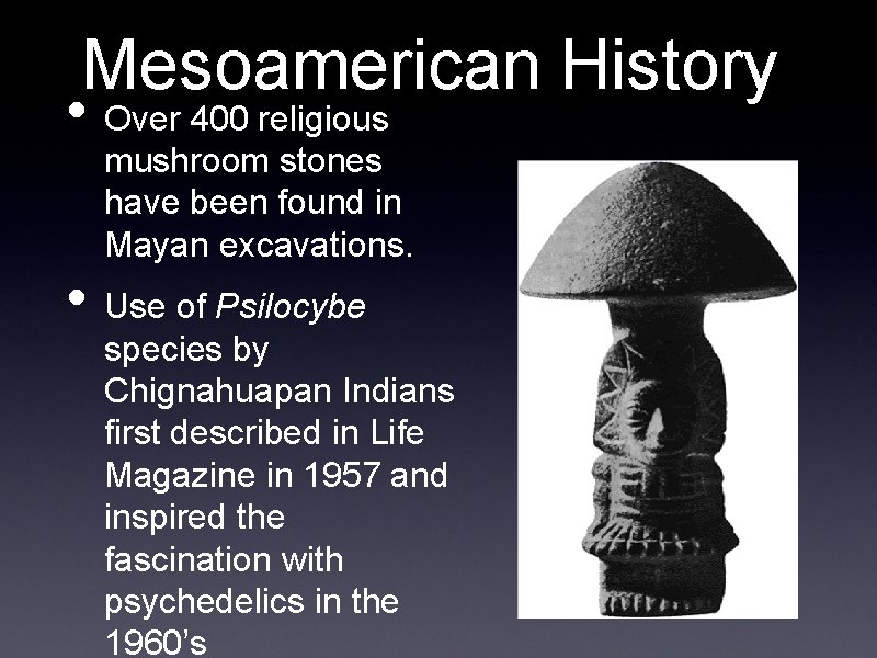 Mesoamerican History • Over 400 religious mushroom stones have been found in Mayan excavations.