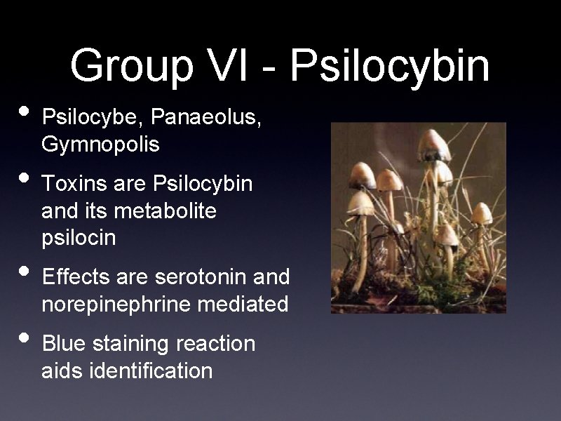 Group VI - Psilocybin • Psilocybe, Panaeolus, Gymnopolis • Toxins are Psilocybin and its