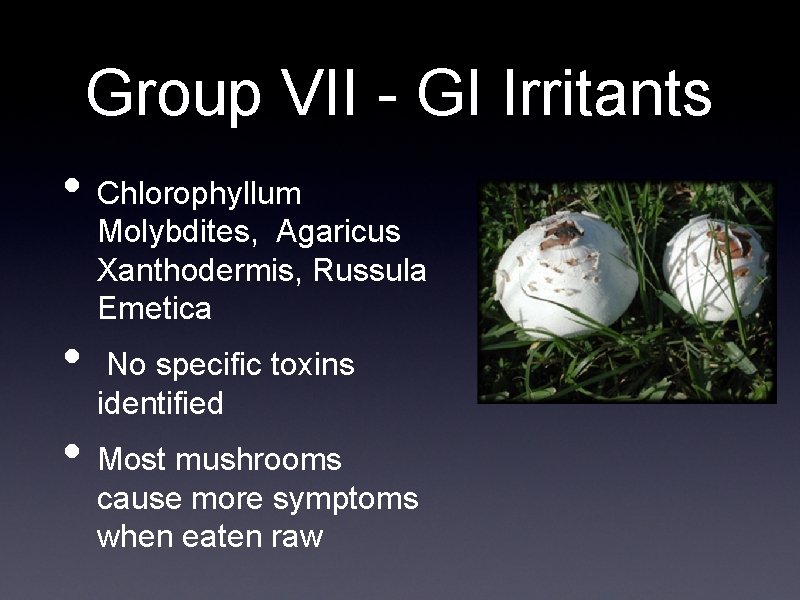 Group VII - GI Irritants • Chlorophyllum • Molybdites, Agaricus Xanthodermis, Russula Emetica No