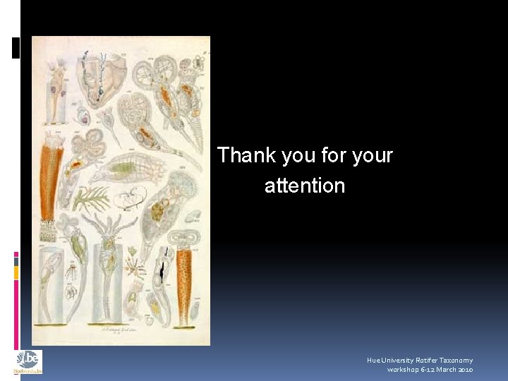 Thank you for your attention Hue University Rotifer Taxonomy workshop 6 -12 March 2010