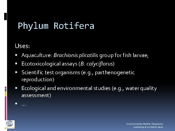 Phylum Rotifera Uses: Aquaculture: Brachionis plicatilis group for fish larvae; Ecotoxicological assays (B. calyciflorus)