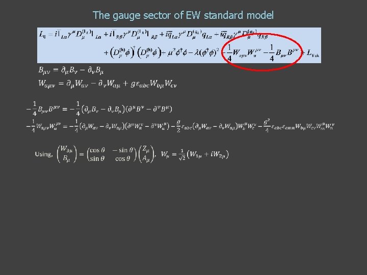 The gauge sector of EW standard model The gauge sector of EW standard model