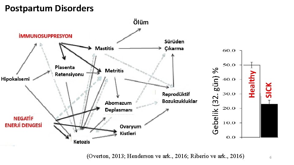 (Overton, 2013; Henderson ve ark. , 2016; Riberio ve ark. , 2016) SICK Healthy