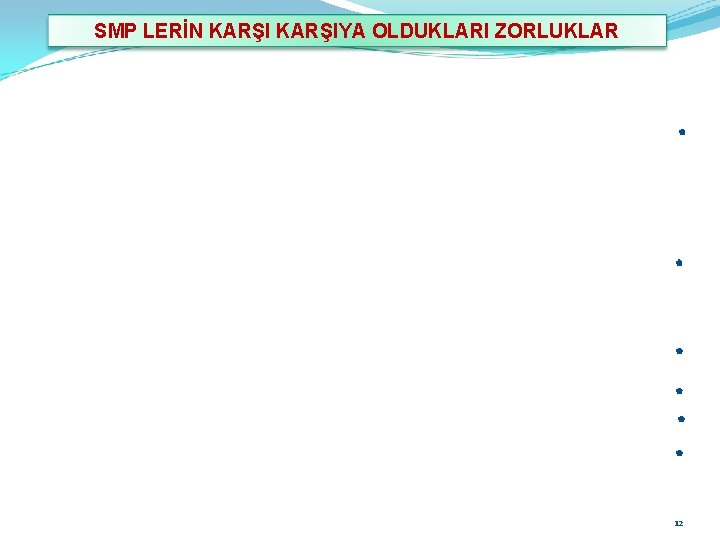 SMP LERİN KARŞIYA OLDUKLARI ZORLUKLAR 12 