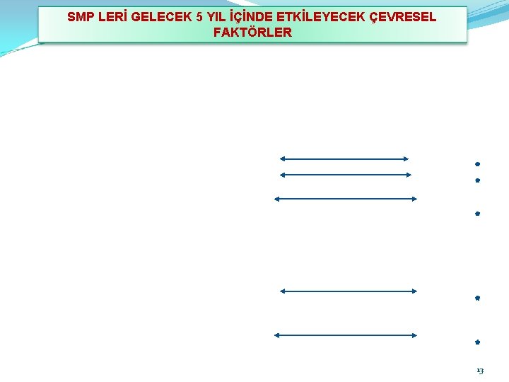 SMP LERİ GELECEK 5 YIL İÇİNDE ETKİLEYECEK ÇEVRESEL FAKTÖRLER 13 