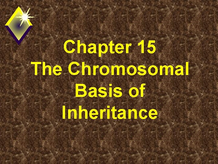 Chapter 15 The Chromosomal Basis of Inheritance 