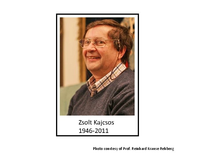 Zsolt Kajcsos 1946 -2011 Photo courtesy of Prof. Reinhard Krause-Rehberg Zsolt Kajcsos 1946 -2011 Photo courtesy of Prof. Reinhard Krause-Rehberg
