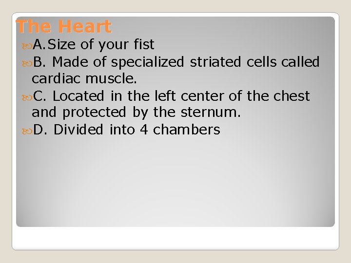 The Heart A. Size of your fist B. Made of specialized striated cells called