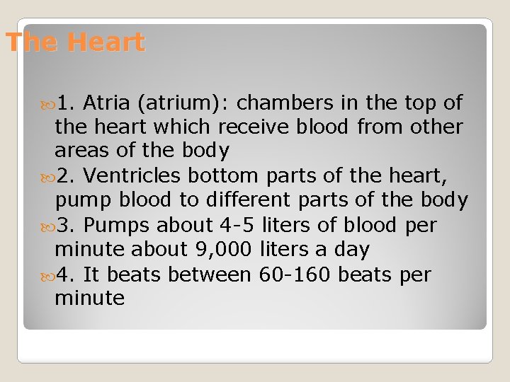 The Heart 1. Atria (atrium): chambers in the top of the heart which receive