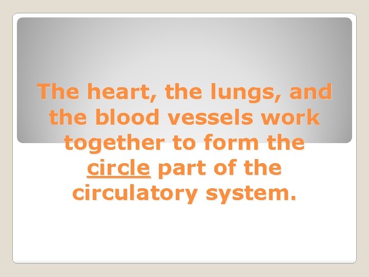 The heart, the lungs, and the blood vessels work together to form the circle The heart, the lungs, and the blood vessels work together to form the circle