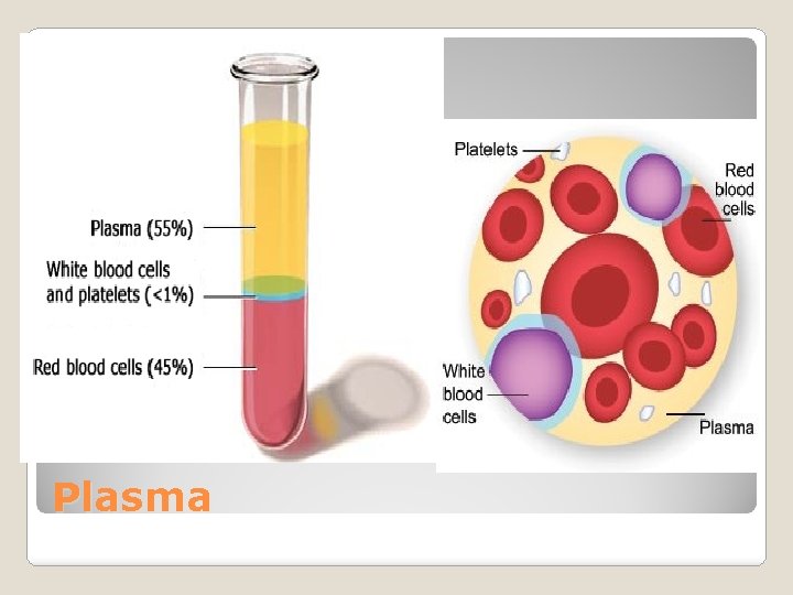 Plasma 