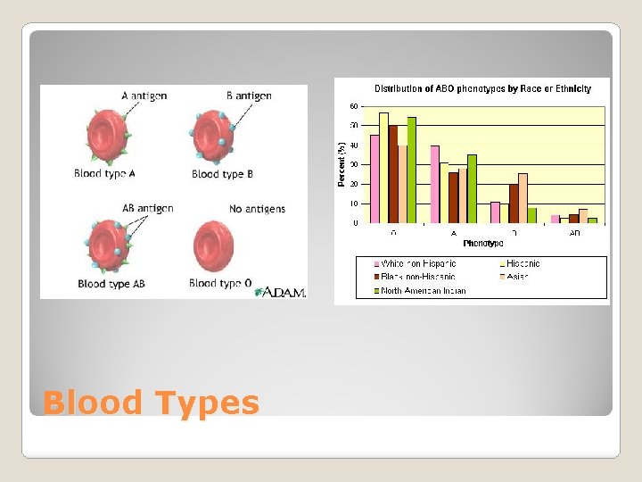 Blood Types 