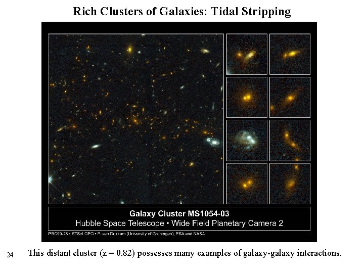 Rich Clusters of Galaxies: Tidal Stripping 24 This distant cluster (z = 0. 82)