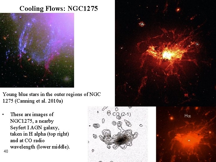 Cooling Flows: NGC 1275 Young blue stars in the outer regions of NGC 1275