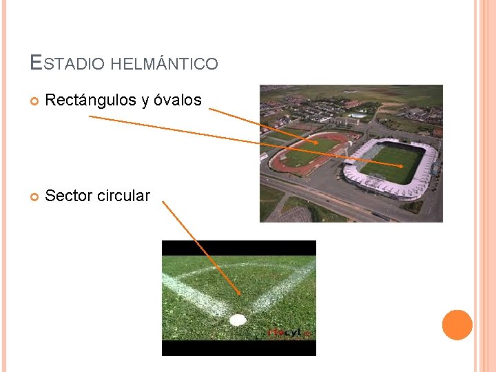 ESTADIO HELMÁNTICO Rectángulos y óvalos Sector circular 