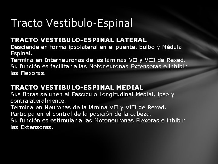Tracto Vestibulo-Espinal TRACTO VESTIBULO-ESPINAL LATERAL Desciende en forma ipsolateral en el puente, bulbo y