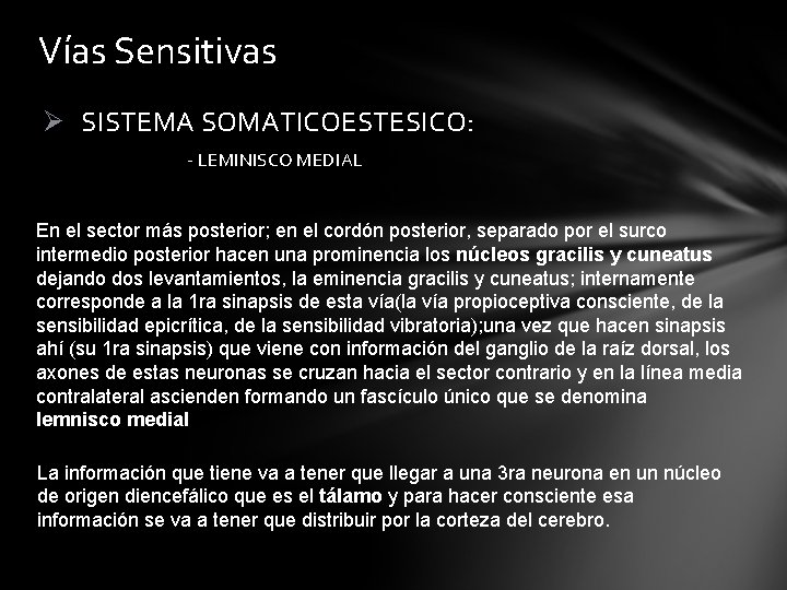 Vías Sensitivas Ø SISTEMA SOMATICOESTESICO: - LEMINISCO MEDIAL En el sector más posterior; en