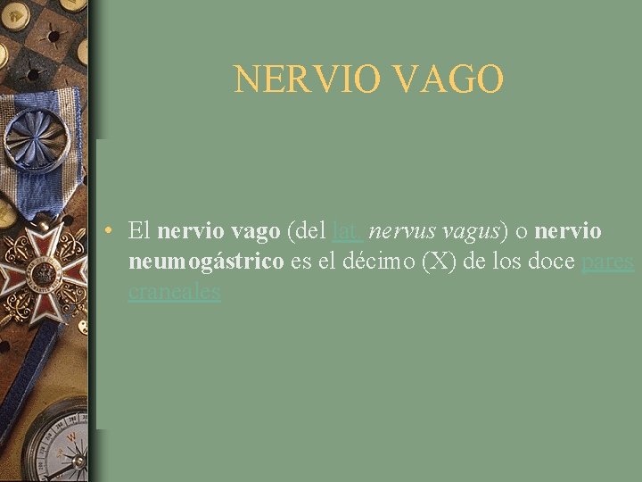 NERVIO VAGO • El nervio vago (del lat. nervus vagus) o nervio neumogástrico es