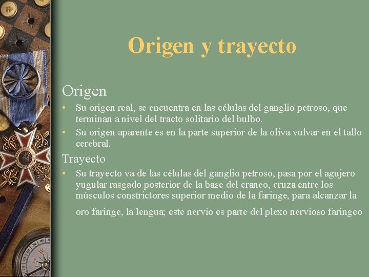 Origen y trayecto Origen • Su origen real, se encuentra en las células del