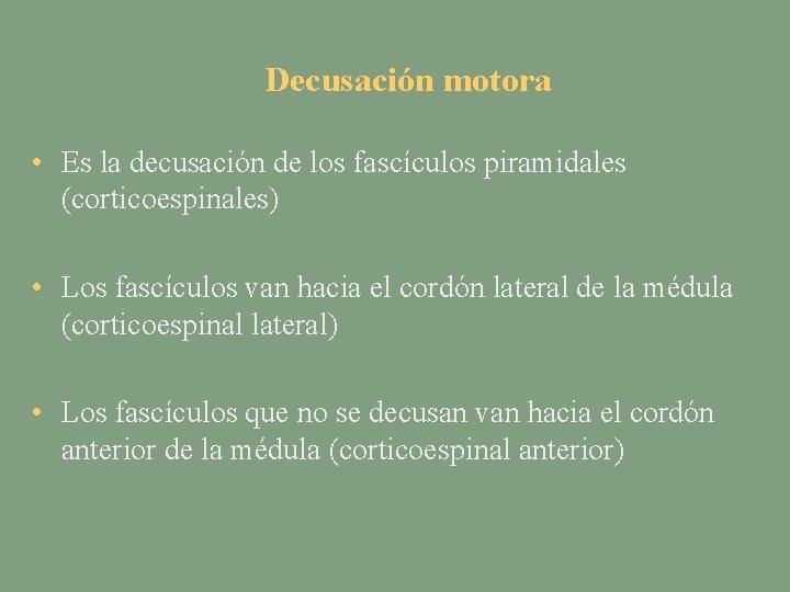 Decusación motora • Es la decusación de los fascículos piramidales (corticoespinales) • Los fascículos