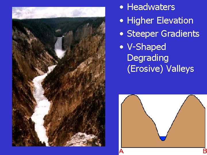  • • Headwaters Higher Elevation Steeper Gradients V-Shaped Degrading (Erosive) Valleys 