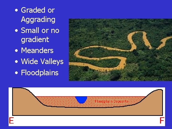  • Graded or Aggrading • Small or no gradient • Meanders • Wide