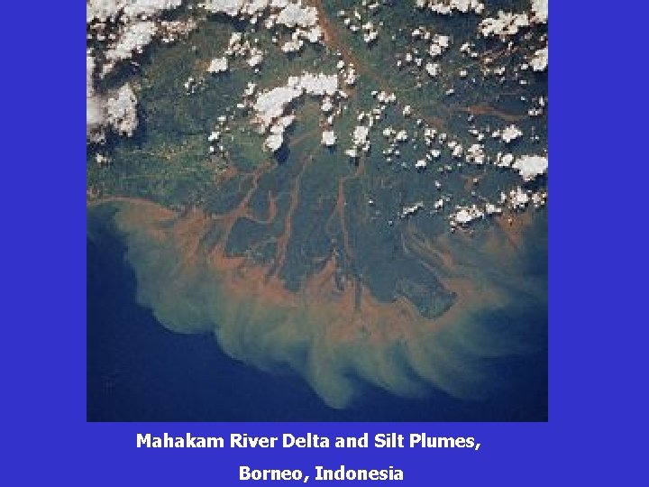 Mahakam River Delta and Silt Plumes, Borneo, Indonesia 