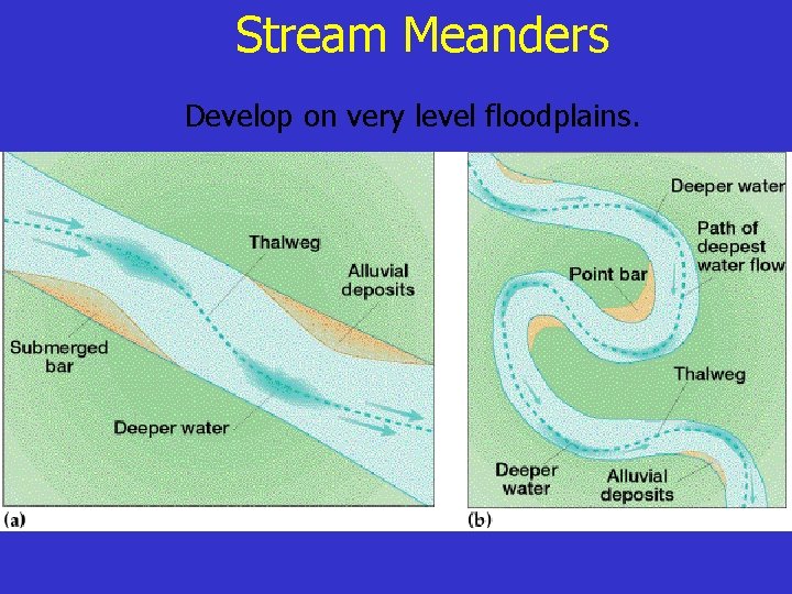 Stream Meanders Develop on very level floodplains. 