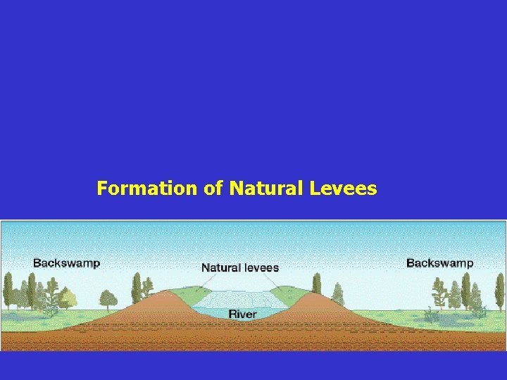 Formation of Natural Levees 