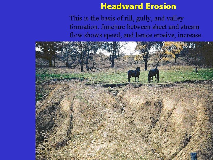 Headward Erosion This is the basis of rill, gully, and valley formation. Juncture between