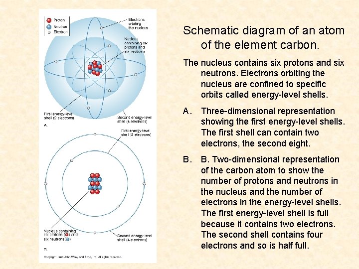 Schematic diagram of an atom of the element carbon. The nucleus contains six protons
