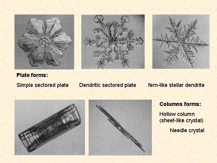 Plate forms: Simple sectored plate Dendritic sectored plate fern-like stellar dendrite Columns forms: Hollow