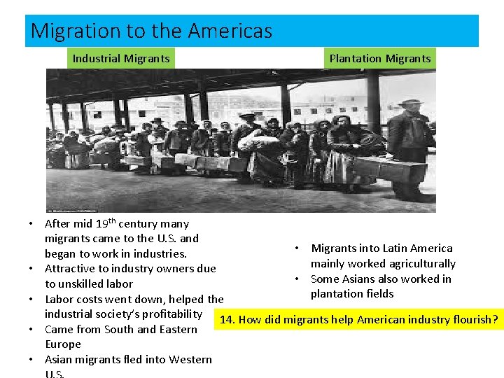 Migration to the Americas Industrial Migrants Plantation Migrants • After mid 19 th century