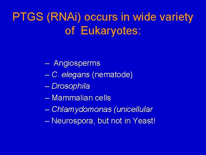 PTGS (RNAi) occurs in wide variety of Eukaryotes: – Angiosperms – C. elegans (nematode) PTGS (RNAi) occurs in wide variety of Eukaryotes: – Angiosperms – C. elegans (nematode)