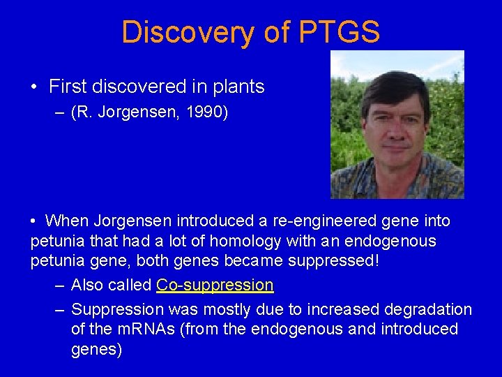 Discovery of PTGS • First discovered in plants – (R. Jorgensen, 1990) • When Discovery of PTGS • First discovered in plants – (R. Jorgensen, 1990) • When
