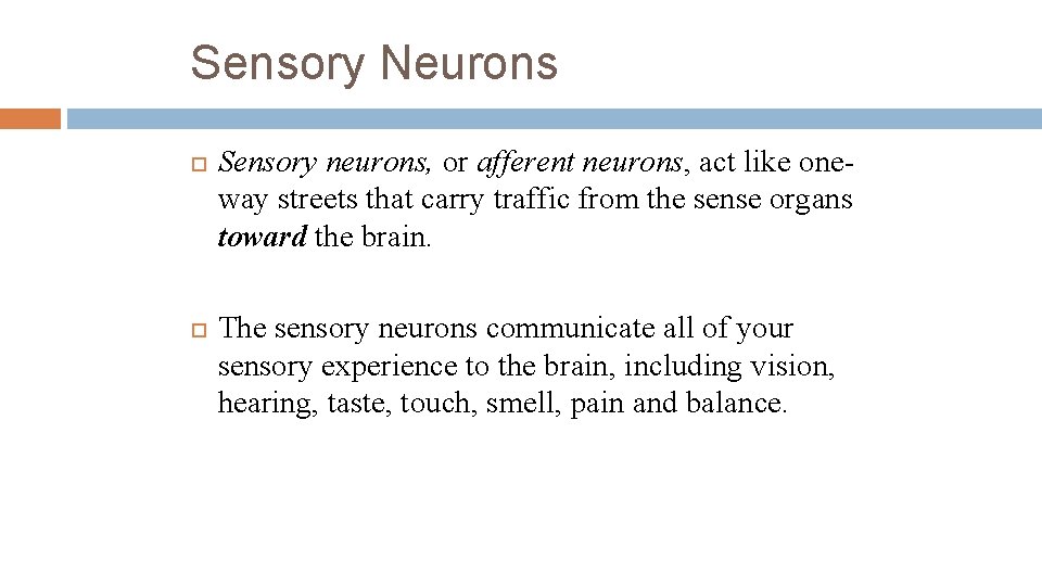 Sensory Neurons Sensory neurons, or afferent neurons, act like oneway streets that carry traffic