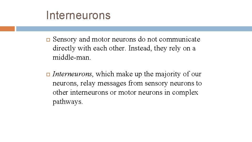 Interneurons Sensory and motor neurons do not communicate directly with each other. Instead, they