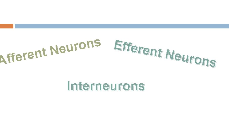 s n E o f r f e u r e e n N