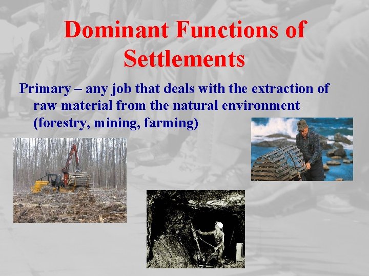 Dominant Functions of Settlements Primary – any job that deals with the extraction of