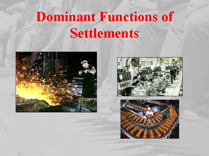 Dominant Functions of Settlements 