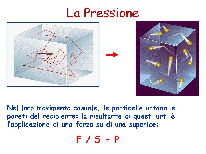 La Pressione Nel loro movimento casuale, le particelle urtano le pareti del recipiente: la