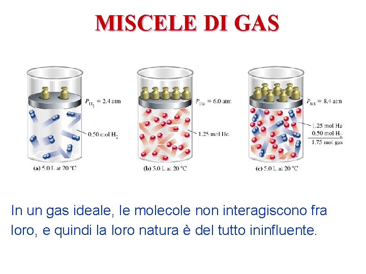 MISCELE DI GAS In un gas ideale, le molecole non interagiscono fra loro, e