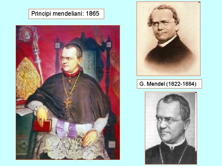 Principi mendeliani: 1865 G. Mendel (1822 -1884) 