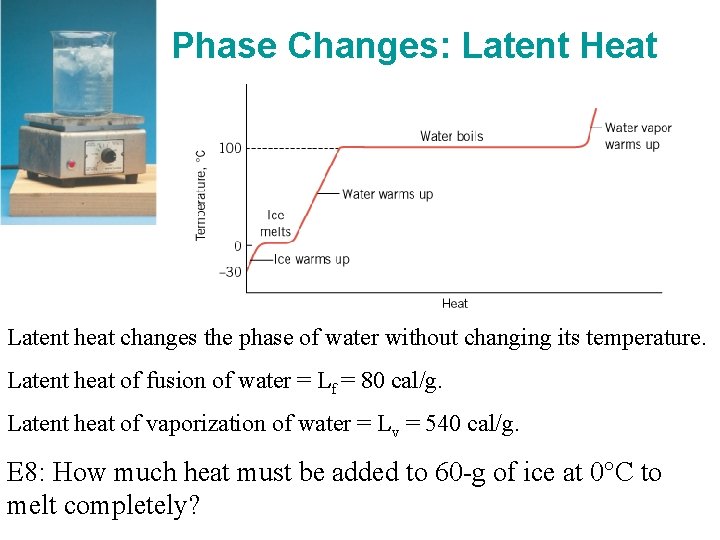 Phase Changes: Latent Heat Latent heat changes the phase of water without changing its