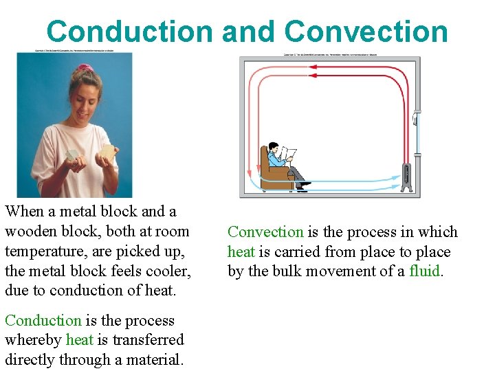 Conduction and Convection When a metal block and a wooden block, both at room